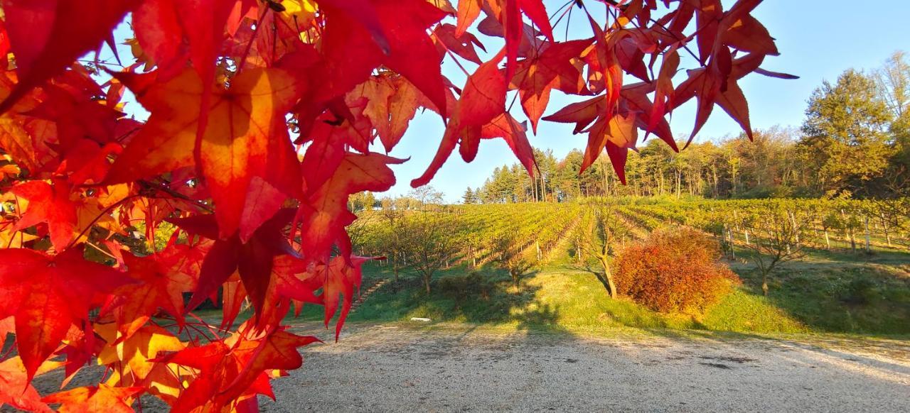 La Valle Nervesa della Battaglia Luaran gambar