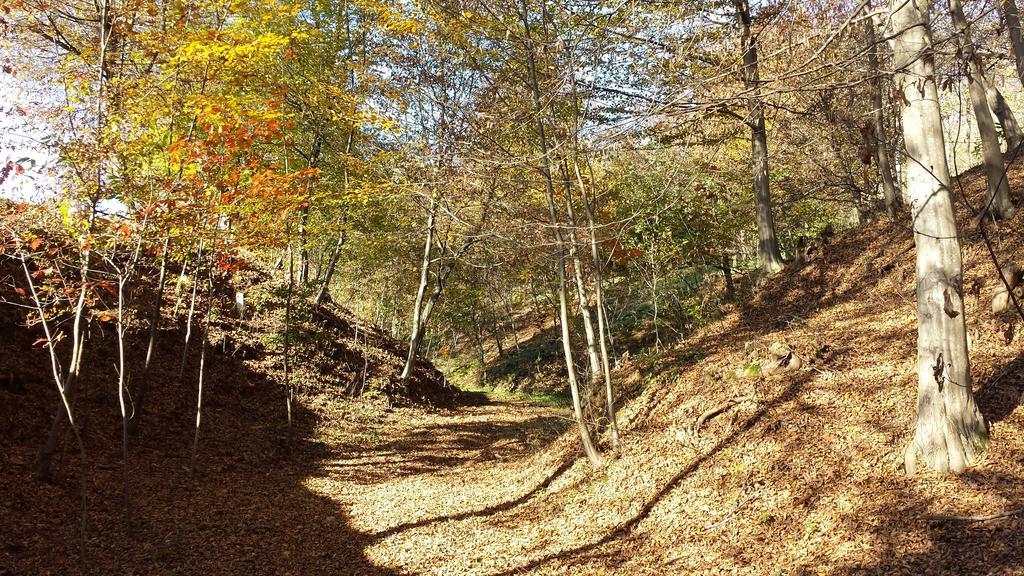 La Valle Nervesa della Battaglia Luaran gambar